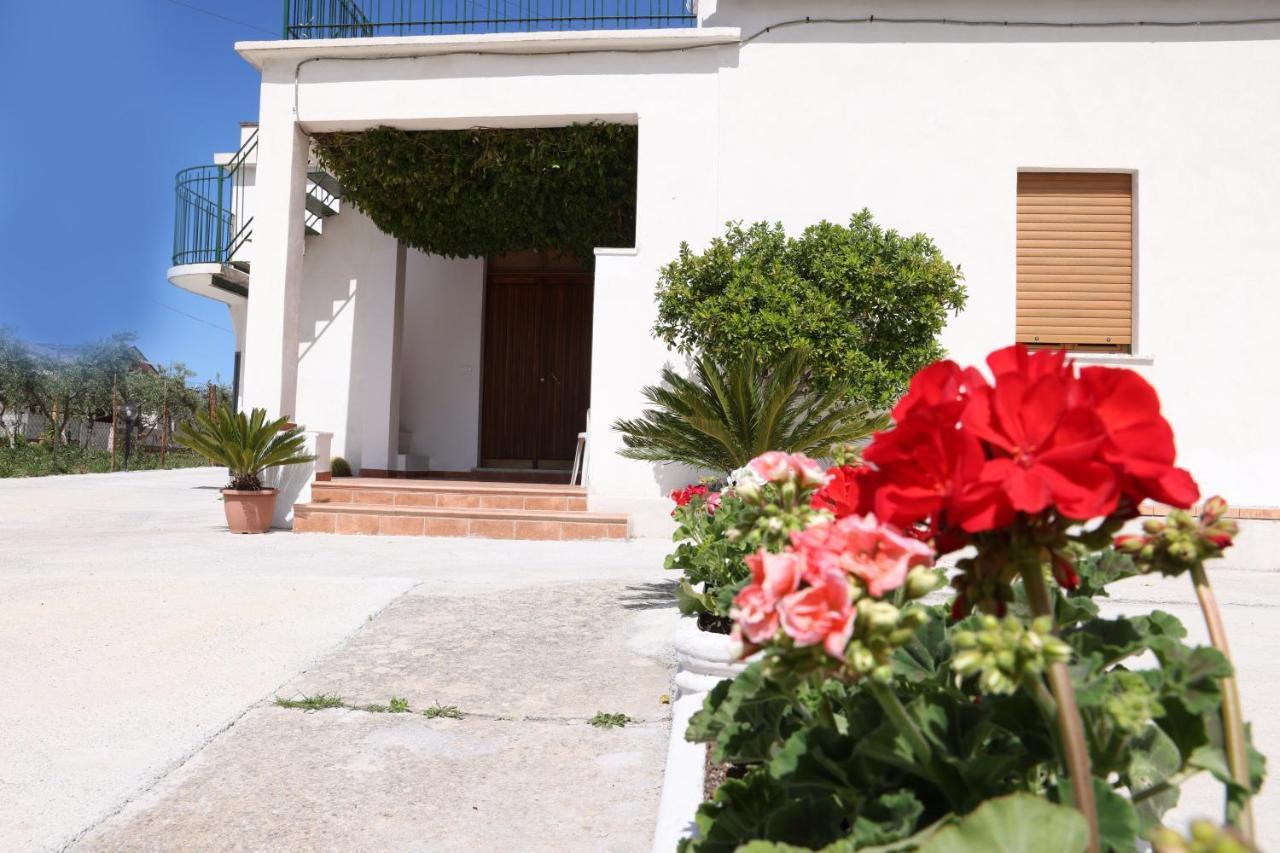 B&B Vannefora San Nicola Arcella Eksteriør bilde
