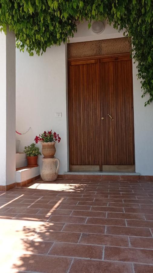 B&B Vannefora San Nicola Arcella Eksteriør bilde